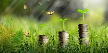 Klaster Energii Kotliny Oświęcimskiej 